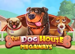 teethwhiteningireland: The Dog House Megaways